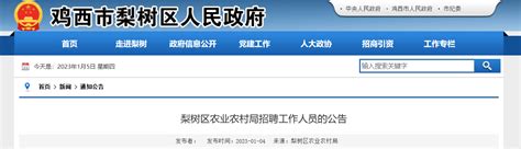 2023年黑龙江省鸡西市梨树区农业农村局招聘4人（报名时间1月4日至10日）