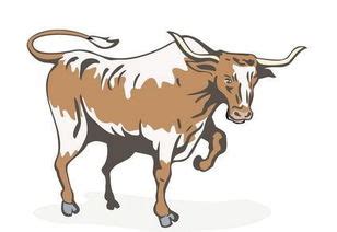 61年的牛在2023年的运势 属牛人的今年的运势_生肖_若朴堂文化