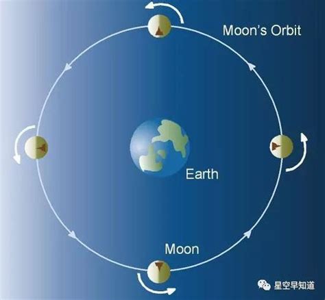 【物理科普】为什么月球总是一面朝向地球，一图看懂潮汐锁定！_自转_周期_吸引力