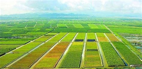 绿色突围 绵阳江油市坚持现代农业产业体系一张蓝图绘到底 - 深圳市绿然展业发展有限公司