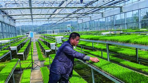 我市组团参加第21届中国安徽名优农产品暨农业产业化交易会（2020•上海）_滁州市农业农村局