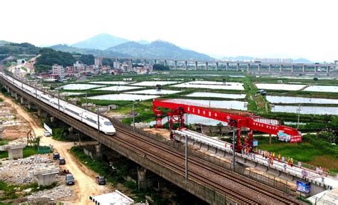 电白区霞洞镇牛栏岭旧矿区复垦复绿项目-中煤江南建设发展集团有限公司（中国煤炭地质总局广东地质局）