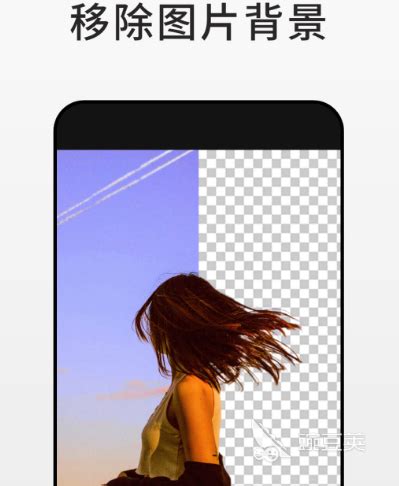 可以自己制作图片的软件免费有哪些 能制作图片的app大全_豌豆荚