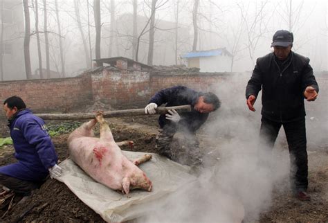 蹭饭去！云南14个地区的杀猪饭，堪比“满汉全席”