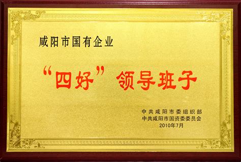 2010年咸阳市国有企业“四好”领导班子咸阳城投集团-集团荣誉