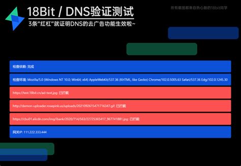 18bit DNS - Windows配置教程