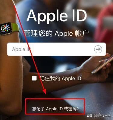 iphone8的Apple ID密码忘记了怎么办?苹果8手机ID密码忘记的解决方法 - 茶源网