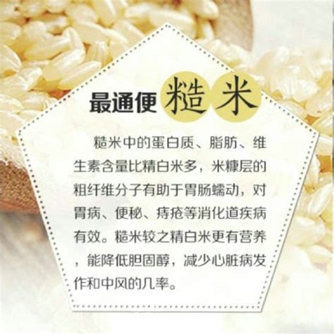 长粒米和圆粒米有什么区别？如何正确选择大米 - 三农经