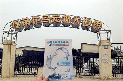 【市场专题】Aquarama带您看尽西南水族圈！ - AQUARAMA 国际水族展广东国际水族展