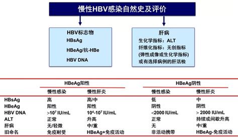 Impacts of Hepatitis B Virus (HBV) genetic variants including genotype ...