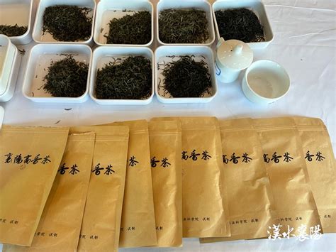 2023襄阳高香茶斗茶大赛获奖名次