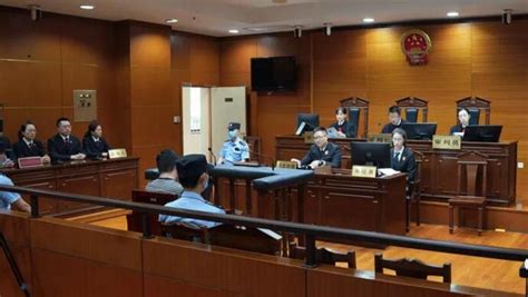 杨浦区政府及司法局领导莅临本所指导、考察 - 致格动态 - 上海致格律师事务所
