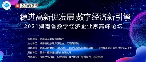 商业运营 - 湖南新长海科技产业