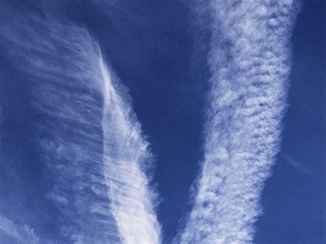 【天边的云摄影图片】植物园风光摄影_随缘小苑_太平洋电脑网摄影部落