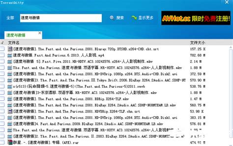torrent kitty最新版地址_torrent kitty官网中文版v2.0.1.0下载-系统家园