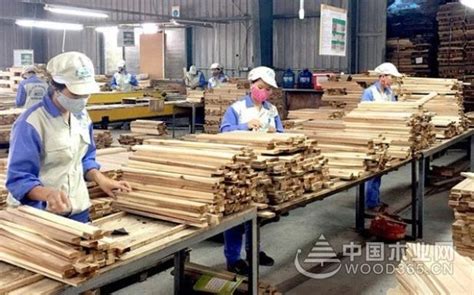 越南木材产业靠新市场实现增长-木业网
