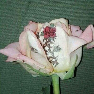 以前非主流头像花