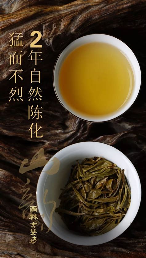 山韵-「雨林古树茶官网」相信自然的力量───雨林古树茶, CCTV民族匠心品牌-雨林古树茶