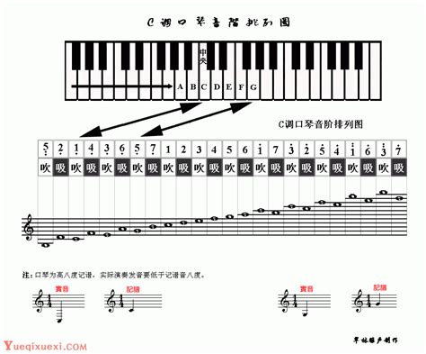 口琴24孔音阶图图片