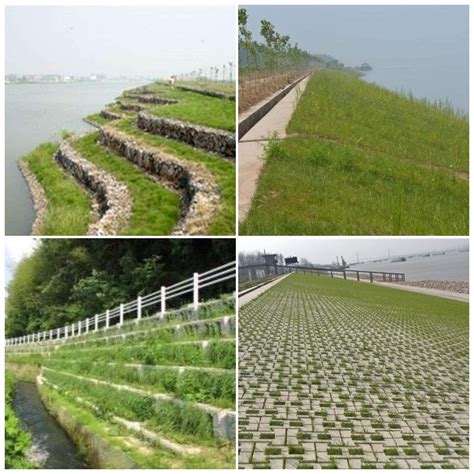 水草养殖方法（怎么养好水草？掌握水草生长的7个因素，养一缸漂亮水草） | 说明书网