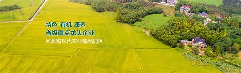 联系我们_故城县茂丰农业科技开发有限公司