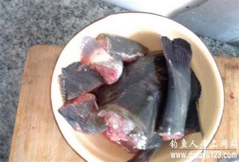 钳鱼怎么做好吃（鲶鱼炖豆腐的川味做法） – 碳资讯