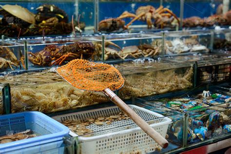 在中国的一个街头市场，鱼网放在装着新鲜海鲜的水箱上