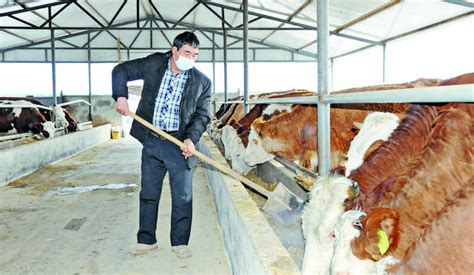 沙雅县：发展畜牧业助农增收-天山网 - 新疆新闻门户