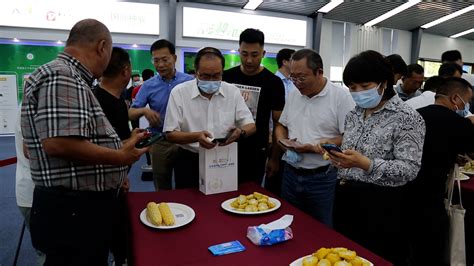 86个鲜食玉米品种亮相第七届北京鲜食玉米节-千龙网·中国首都网