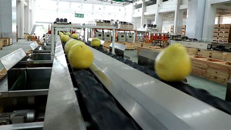 t40喷柚子（柚子要喷什么农药） t40喷柚子（柚子要喷什么农药）「柚子要喷什么农药才漂亮」 行业资讯