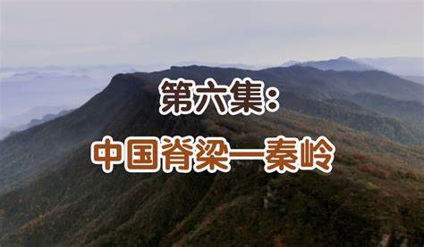 震撼！自豪！振奋！《钢铁脊梁》第一集播出，反响热烈—中国钢铁新闻网