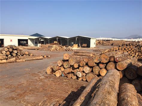 地友：我国木材交易市场的形成和发展轨迹 - 知乎