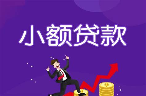 网上小额贷款安全吗？ - 人人理财