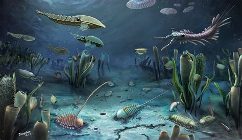 5亿年前临沂动物群打开探索寒武纪演化动物群新窗口 - 化石网