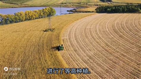 三江示范区友谊农场坡耕地“等高种植”示范获得成功--中国科学院东北地理所农业技术中心