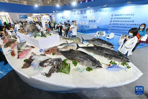 全国放鱼日：深圳开展2020年渔业资源增殖放流活动_广东频道_凤凰网
