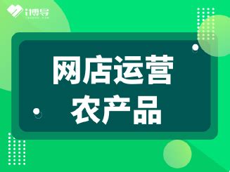网店运营计划方案_word文档免费下载_文档大全