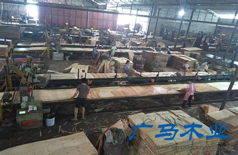 模板生产设备_广西贵港保兴木业有限公司