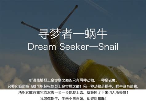 寻梦者—蜗牛（我喜欢蜗牛，这是一个关于有梦想的蜗牛的故事）_Lennonyq-站酷ZCOOL