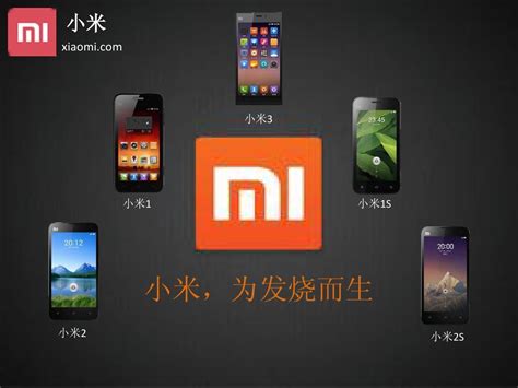 小米_word文档在线阅读与下载_免费文档