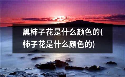 花是昨日之花你的梦是少年之梦图片