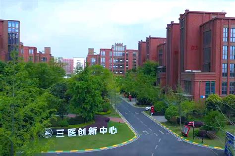 成都温江：一座专医之城的活力解码 | 每经网