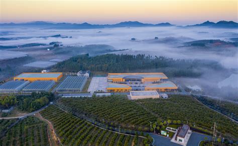 江西赣州：赣南脐橙如何丰产增收 | 信丰县信息公开