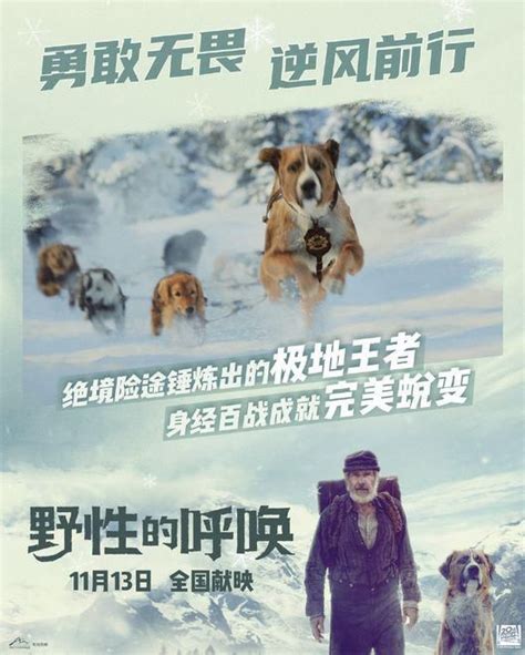 《野性的呼唤》内地公映 灵犬巴克勇闯冰雪荒原 - 360娱乐，你开心就好