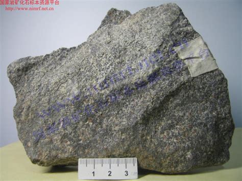 赏析 | 60个常见三大类岩石标本鉴定，简单明了！