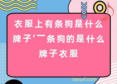 mlb是什么档次的牌子怎么读，北美职业棒球大联盟的简称 - 神奇评测