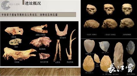 最新！金兰寺遗址出土古人类遗骸增至34具，多具属于小孩！多图→