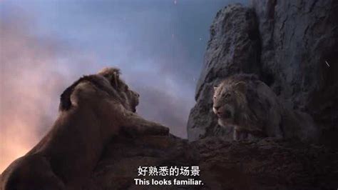 狮子王：当刀疤告诉辛巴木法沙是它杀的时，辛巴瞬间怒火燃烧_腾讯视频