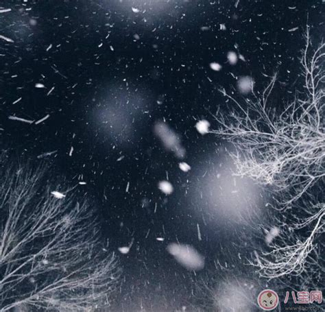 苏州下雪了！2018年的第一场雪已刷爆朋友圈！