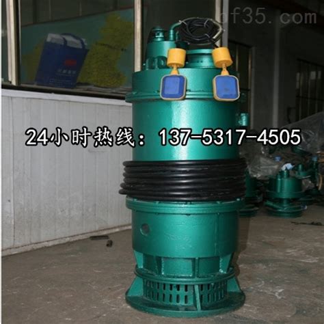 高扬程潜水排污泵BQS300-50-90/N咸宁价格-环保在线